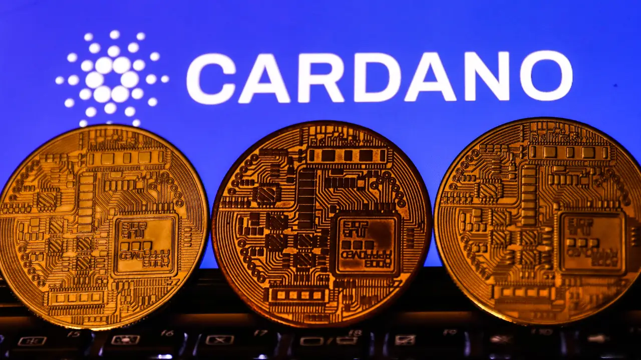 koin Crypto Cardano
