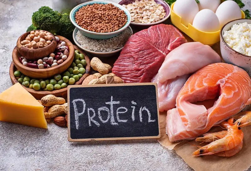 Makanan Super Protein